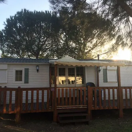 Le Paradis Au Camping Les Palmiers Campingplads Hyères